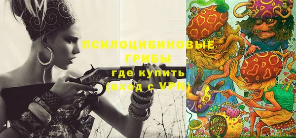 apvp Аркадак